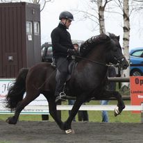 V: Throttur frá Hvalnesi V: Throttur fra Hvalnesi